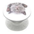 POPSOCKETS PopGrip Cat Nap Aftageligt Greb m. Standerfunktion Hot on Sale