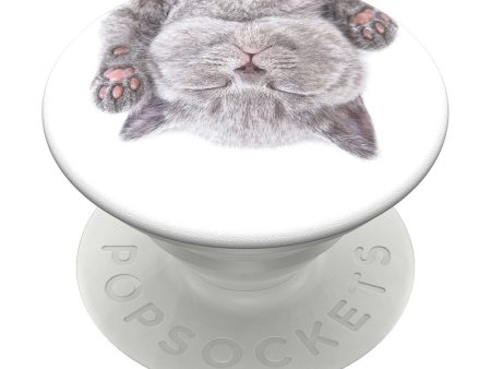 POPSOCKETS PopGrip Cat Nap Aftageligt Greb m. Standerfunktion Hot on Sale