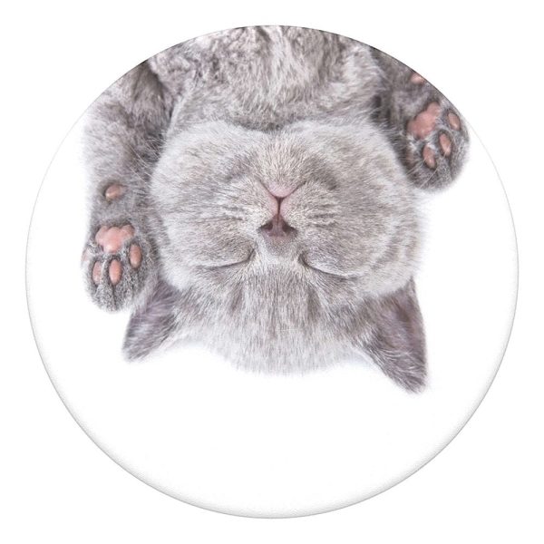 POPSOCKETS PopGrip Cat Nap Aftageligt Greb m. Standerfunktion Hot on Sale