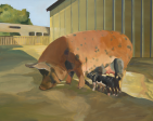 Forbes piglets  16x20 oil For Discount