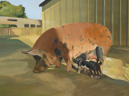 Forbes piglets  16x20 oil For Discount