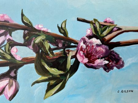 Peach Blossoms  5 x7  acrylic Online Hot Sale