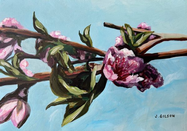 Peach Blossoms  5 x7  acrylic Online Hot Sale