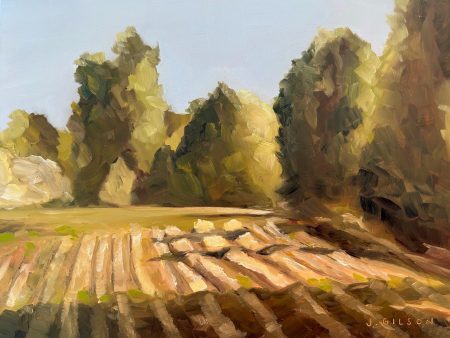 Cottonwood Lane Field  8  x 10  oil Cheap