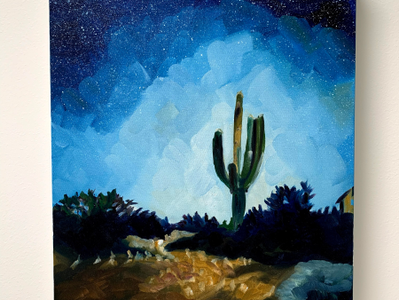 16  x 20   Arizona Desert  oil on gallery wrapped canvas Sale