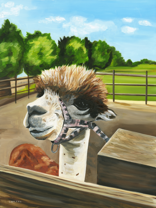 Snuck Farm Alpaca   18 x24  oil For Cheap