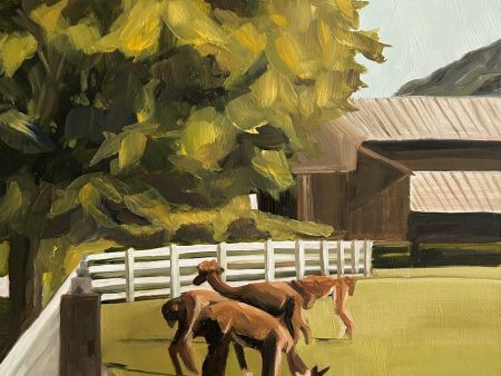 Alpaca Pack at Snuck Farm  8  x 10  oil Online now