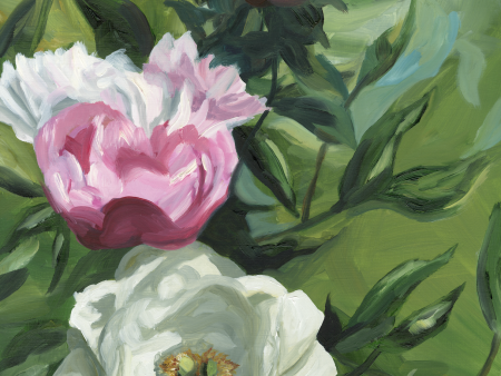 Summer Peonies  11  x 14  oil on panel For Sale